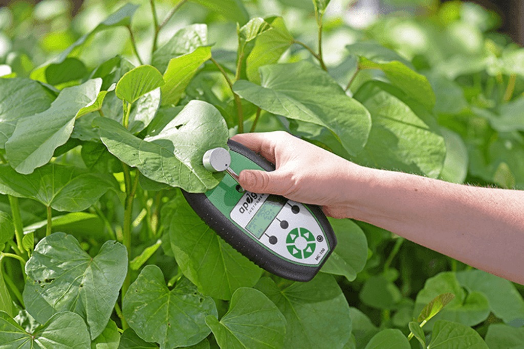 Chlorophyll Meter (Patented)